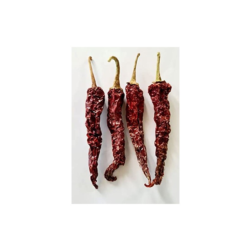 Byadgi Bedgi Chile Byadagi Chilli Pepper Premium Seeds for Planting