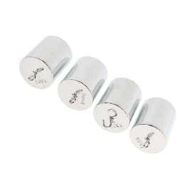 Pack of 4 Slot Weights Set Hook Weight with Hanger Basic Mechanic Experiment Gauge Delivery