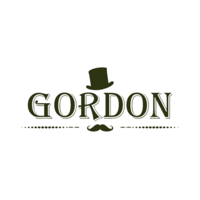 Gordon Hair Fibres Set 2 x 22 g - Instant