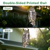 OffiCreative 2PCS Reflective Hanging Hawk Fake Owl Decoration, Realistic Hanging