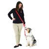 Blue-9 Multi-Function Hands Free Dog Leash, Double Attachment 6 Foot