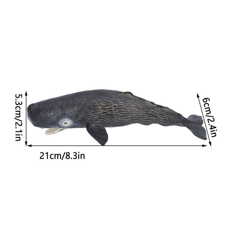 Realistic Sperm Whale Replica Simulated Marine Animal Model Educational Collector