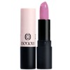 Anjumain Dodori Performance Creamy Lipstick DO5050 Iris × 4g × 1 / 도도리 퍼포먼스 크리미 립스틱 DO5050 아이리스 × 4g × 1개