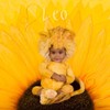 Anne Geddes Zodiac Collection Leo Soft Toy