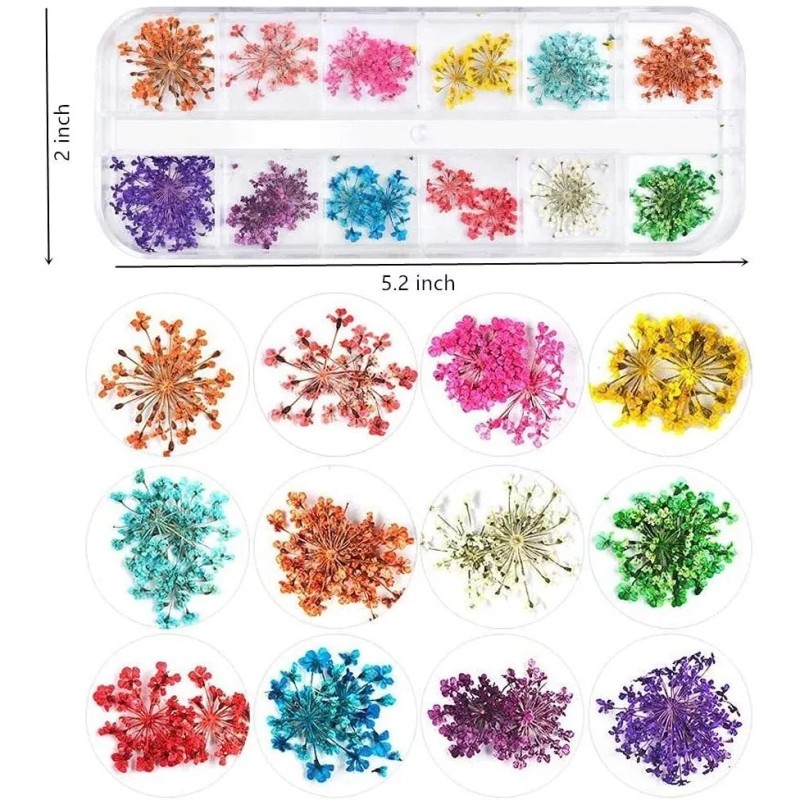 Sinen 1 Caja De Flores Secas Y 1 Caja De