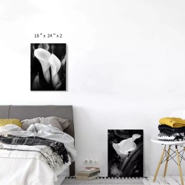 TAR TAR STUDIO Calla Lily Flower Wall Art: Lilies on Black Background Photogr...