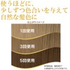 Oshima Tsubaki Hair Color Treatment, Dark Brown, Unisex, Paraben, Diamine