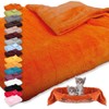 Bestlivings Pet Blanket, Cat Blanket, Cuddly Blanket, Comfortable and Super