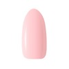Claresa Medium Density Builder Gel, Thixotropic, Self-Levelling, Easy to Claw,