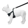 Jack & Bully Dog Harness, No Pull Vest Step-in Adjustable
