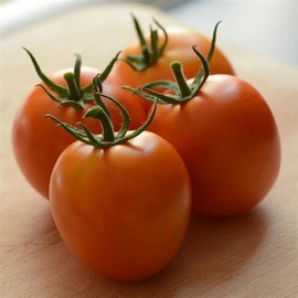 Flame Tomato Seeds (Solanum lycopersicum) – Striking Striped Heirloom Variety, Sweet and Tangy Flavor, Great for Fresh Eating – 15+ Seeds