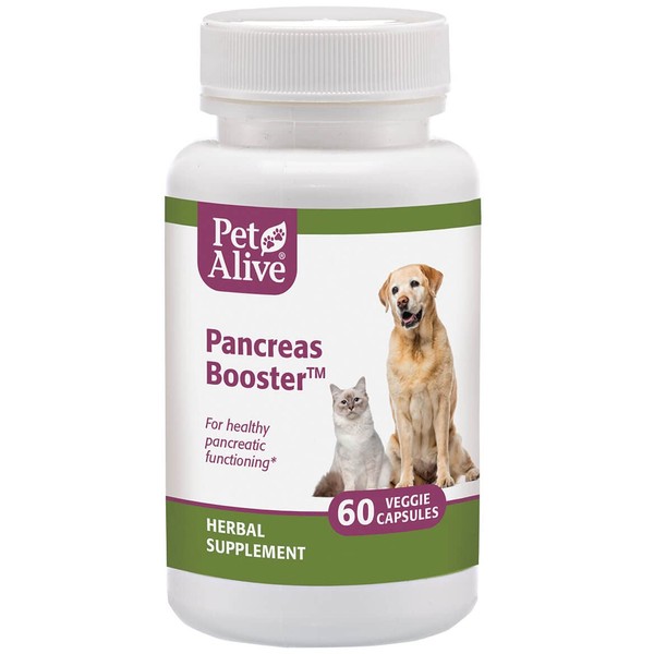 PetAlive Pancreas Booster - All Natural Herbal Supplement for Pancreatic Health and Digestive Functioning in Cats and Dogs - Supports Healthy Insulin Production - 60 Veggie Caps