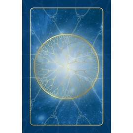 Your Sacred Wealth Code Oracle Cards: A Daily Practice to Unlock Your Soul Blueprint for Purpose & Prosperity (A 23 Card Deck & Guidebook)