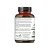 Pure-Fill Zinc Picolinate 50mg - Highly Absorbable Supplement - 3rd