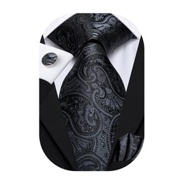 Hi-Tie Ties for Men Silk Necktie Pocket Square Cufflinks Wedding Formal Party Gift for Men,Black Paisley