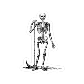 CafePress Skeleton Grim Reaper Small Die Cut Sticker, 3"x4" Matte Finish