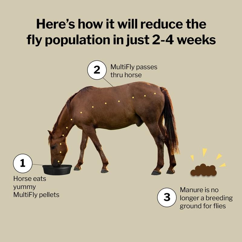 Formula 707 MultiFly® Feed-Thru Fly Control - Size: 5 lb