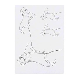 4 x 'Manta Ray' Temporary Tattoos - Water Resistant, Skin-Safe, Non-Toxic Transfers, Mixed Sizes (TO00085060)