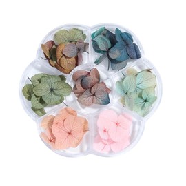 Healvian 50pcs Dried Flower Nail Art Stickers Preserved Gradient Maple Leaf Decorations for Manicure for Home and for Creative Nail Designs and Projects