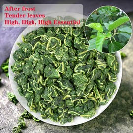 Mulberry Leaves Tea Natural Mulberry Leaf Tea 240g/8.5OZ Mulberry Dried Leaves Sang Ye Tea Mulberries Loose Leaf Tea Dried Herbal Tea Caffeine-free No Additives 桑叶茶 桑葉