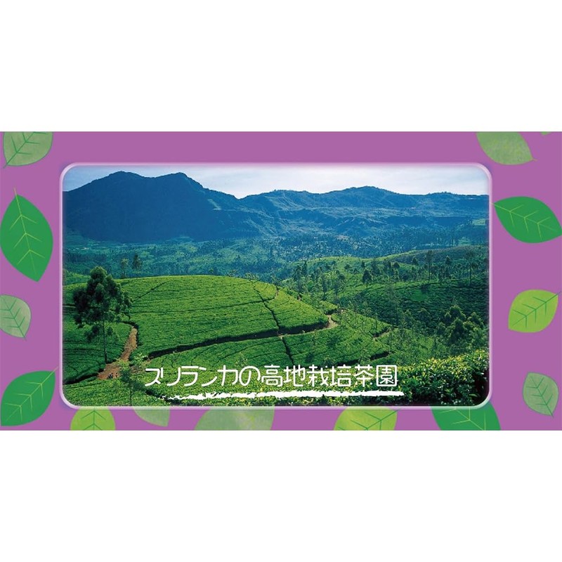 Kokutaro Earl Grey Tea Triangle Tea Bag, 50 P x