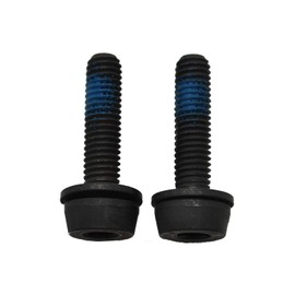 CAMPAGNOLO Disc Adapter Screws, 29mm