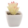 6PCS Potted Artificial Succulents Artificial Plants in Pots Plastic Fake