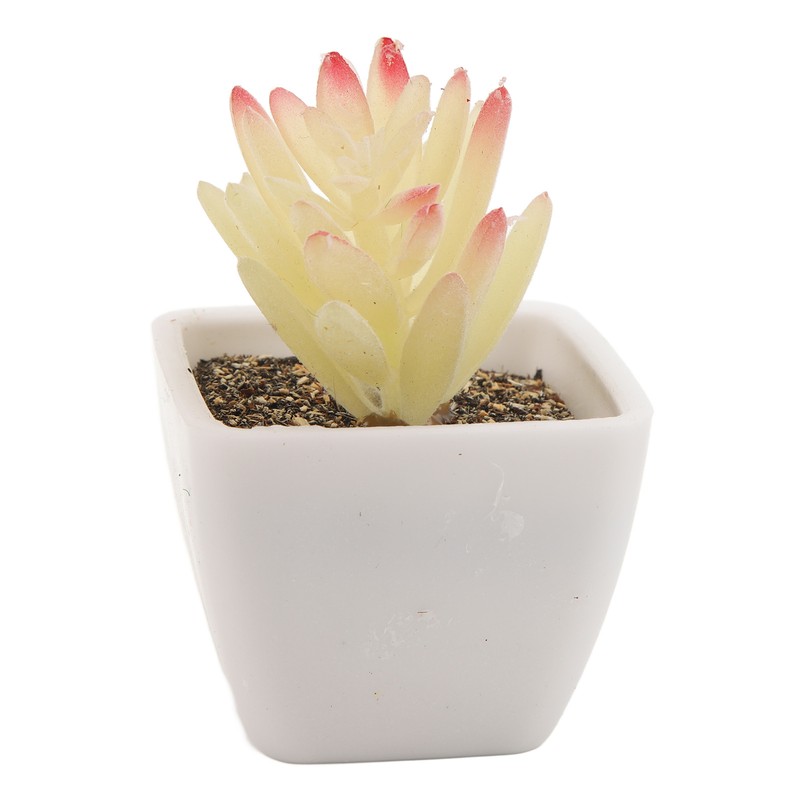 6PCS Potted Artificial Succulents Artificial Plants in Pots Plastic Fake