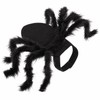 Spider Costume for Cats & Small Dogs – Black Halloween