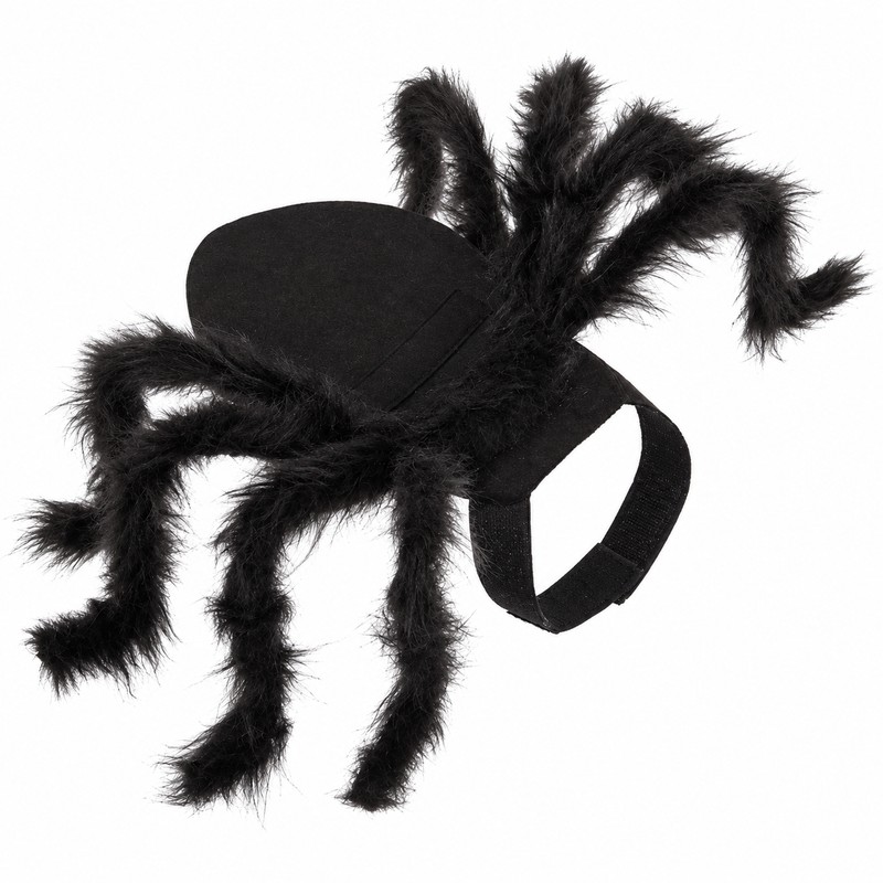 Spider Costume for Cats & Small Dogs – Black Halloween
