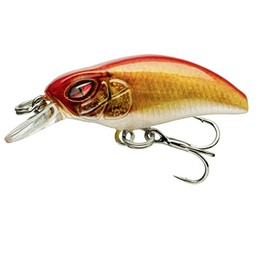 Daiwa PROREX Micro Minnow Lure - 3cm 1.5g Live Orange Bleak