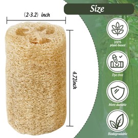 GOLSIEMITER (Non-Vacuum Packed) Natural Loofah Sponge, 4pcs Loofah Vegetable Scrubber for Kitchen, Reusable Natural Dish Sponge for Cleaning and Shower Scrubbing, 4.72inch