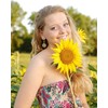 Picano Antique Gold Silver Sunflower Dangle Earrings for Women (Antique