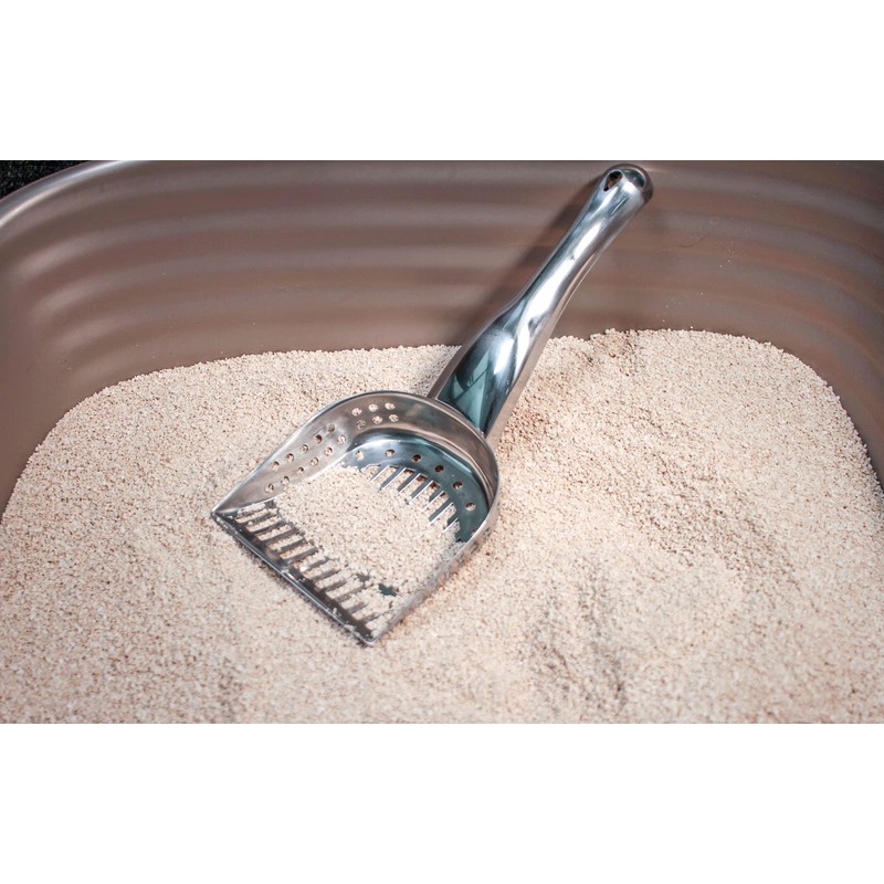 RSVP International Endurance Collection Stainless Steel Kitty Litter Scoop, 4.75x2.5x11.25"