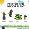 WhaleLife Indoor Watering Can for House Bonsai Plants (1.4L, Blue)