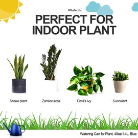 WhaleLife Indoor Watering Can for House Bonsai Plants (1.4L, Blue)