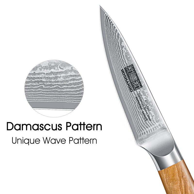 HOSHANHO Damascus Paring Knife 3.75 Inch, Professional 67 Layers Damascus
