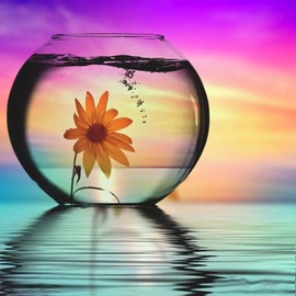 Apomelo Pintura de playa con diamantes bordados de 12 x 12 pulgadas, diseño de margaritas en botella