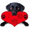 CafePress Black Lab Valentine Memory Keepsake Jewelry Box, 5"x5"x3.75"
