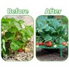 Iceyyyy 5 Pack Strawberry Plant Support - Strawberry Growing Racks