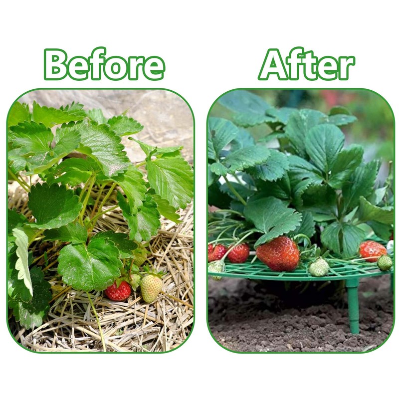 Iceyyyy 5 Pack Strawberry Plant Support - Strawberry Growing Racks
