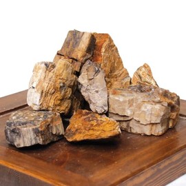 Amtra - Petrified rock, aquarium decoration, natural, non-limestone, random piece/weight