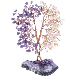 Nupuyai Amethyst & Citrine Crystal Tree with Amethyst Druze Base, Reiki Crystals Tree of Life Gemstone Money Tree Feng Shui Wedding Living Room Decoration