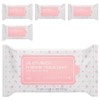 Plantain Feminine Light Tissue-type Feminine Cleanser, 10 Sheets, 5 Pieces / 질경이 페미닌 라이트 티슈형 여성청결제, 10매, 5개