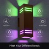 Smart Outdoor Wall Lights 2 Pack, IP65 RGB Wall Lights