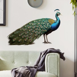 RoyoLam Lifelike Standing Peacock Bird Wall Decal Nursery Animal Wall Sticker Removable Peel and Stick Wall Art Decor for Kid Baby Classroom Preschool Living Room Playroom Bedroom School
