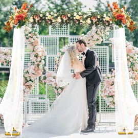 DEYIXUN 8FT x 8FT Heavy Duty Backdrop Stand Kit - Gold Portable Adjustable Stand,Square Metal Arch Party Frame for Wedding/Baby Shower/Birthday Parties/Banquet