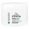Pascal Coste Professional Repair Mask 500 ml