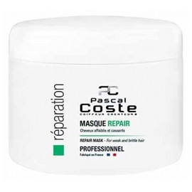 Pascal Coste Professional Repair Mask 500 ml