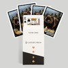 Lantern Press Missoula, Montana, Grizzly Bear, Scratchboard (52 Playing Cards,